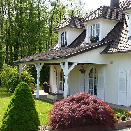 Chambres D'Hotes La Parenthez' Haguenau Luaran gambar